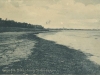 billesborg-strandskov