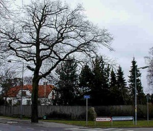 Skensved - Kvindeeg og Genforeningssten, Ll. Skensved, hjørnet af Hovedgaden og Ølbyvej